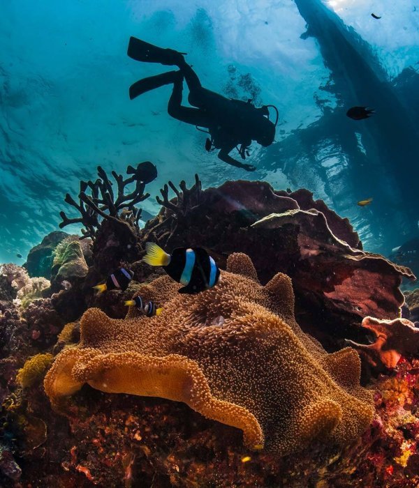 underwater-reefscape-small.jpg